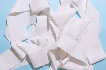 How many sheets are on a toilet roll?