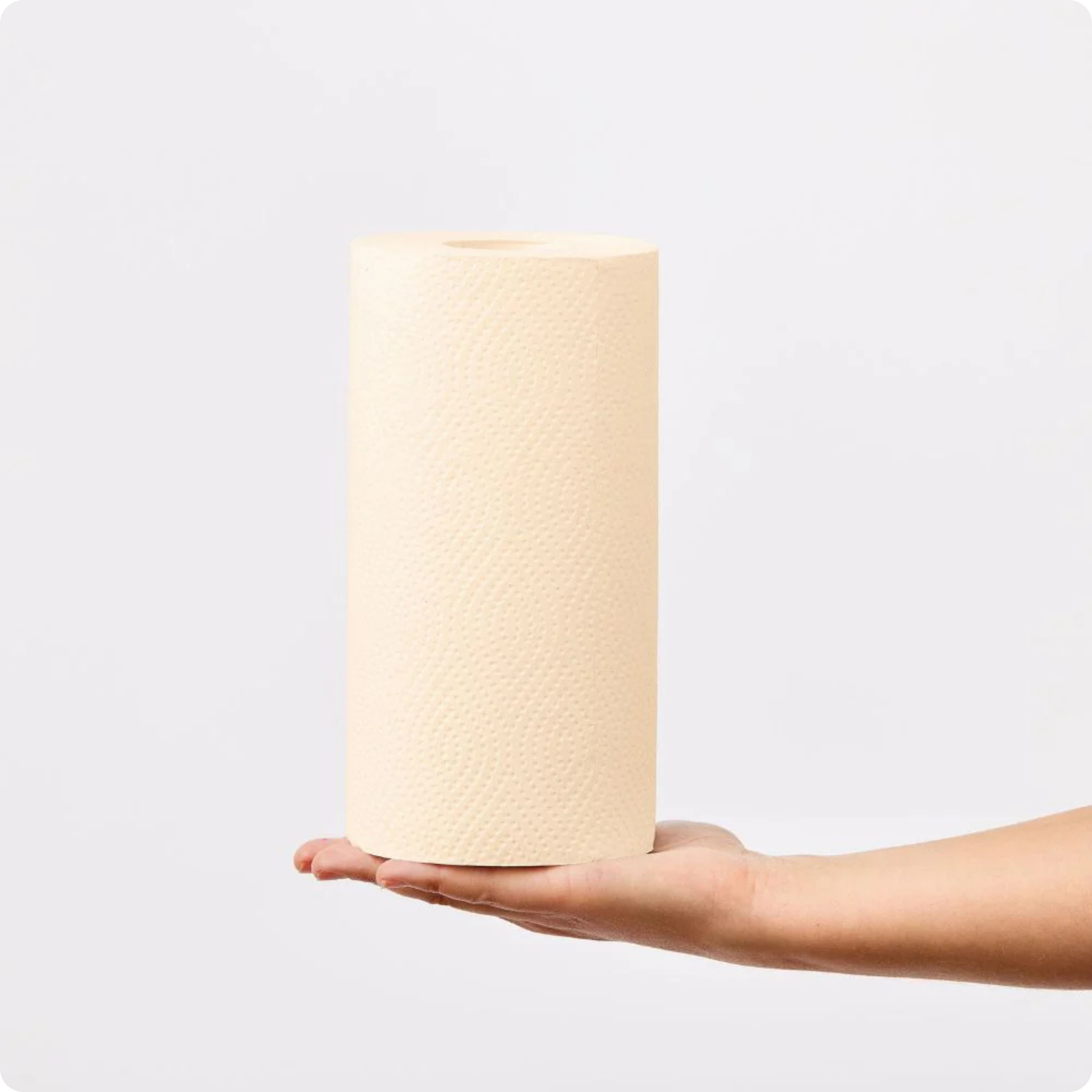 Unwhitened Kitchen roll