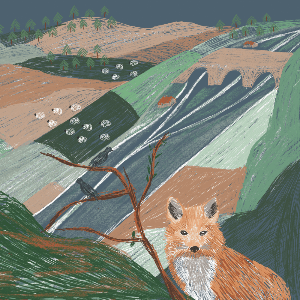 Artists depiction of before rewilding