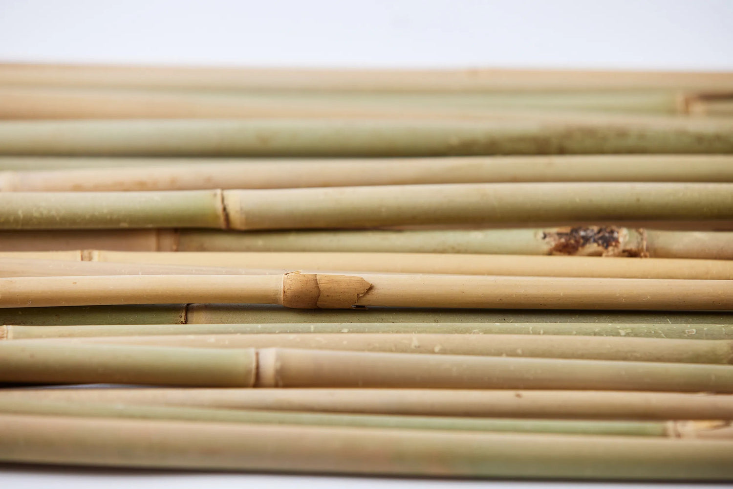 why bumboo's unbleached bamboo paper varies in colour: a guide to natural shades