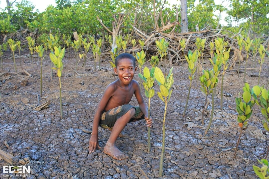 eden-reforestation-projects-planting-trees-553
