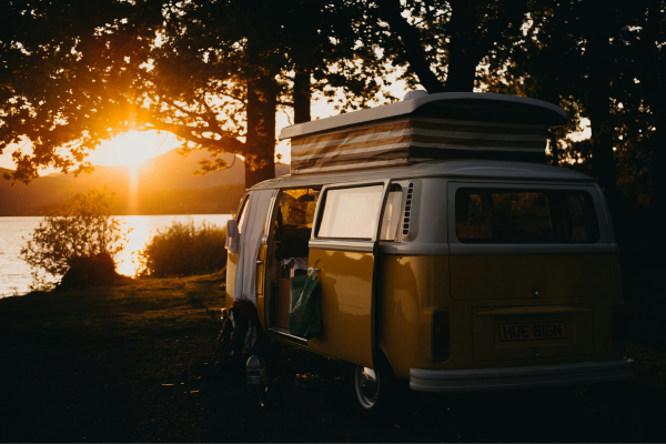eco-tourism and rewilding