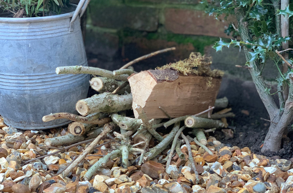 log pile next to holly and galvanised pot