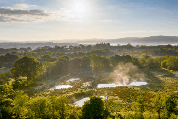 View over green land and blue sky