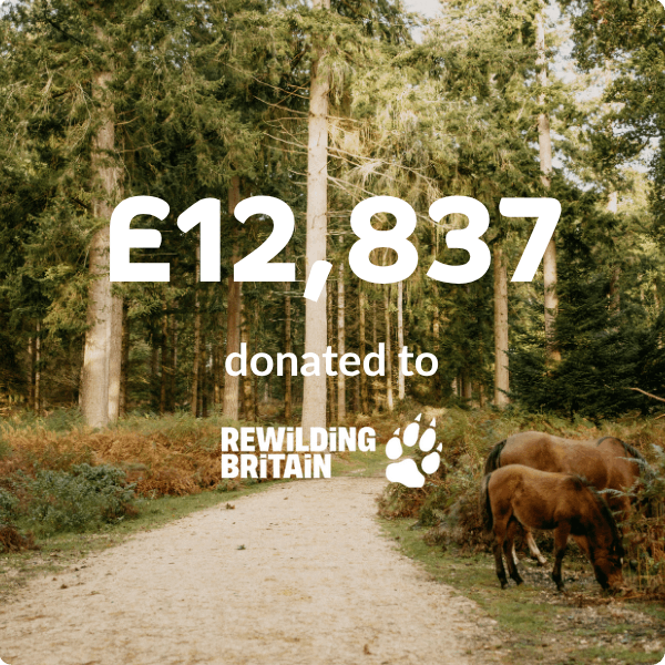 Two ponies on a path in a forest with text overlay showing a donation amount to Rewilding Britain.