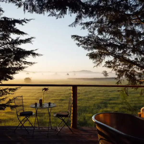 View over misty landscape