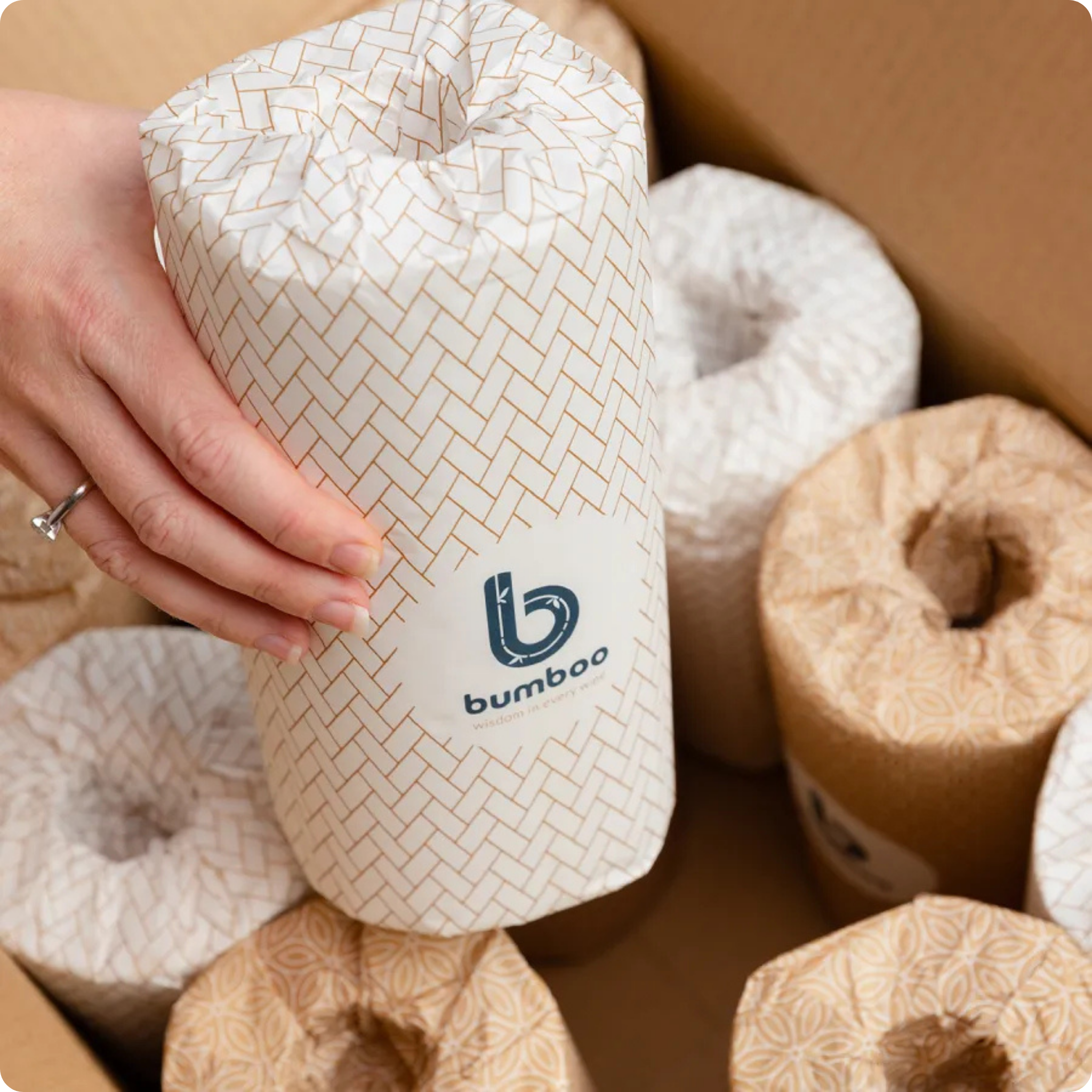 wrapped bamboo kitchen roll being taken out of box