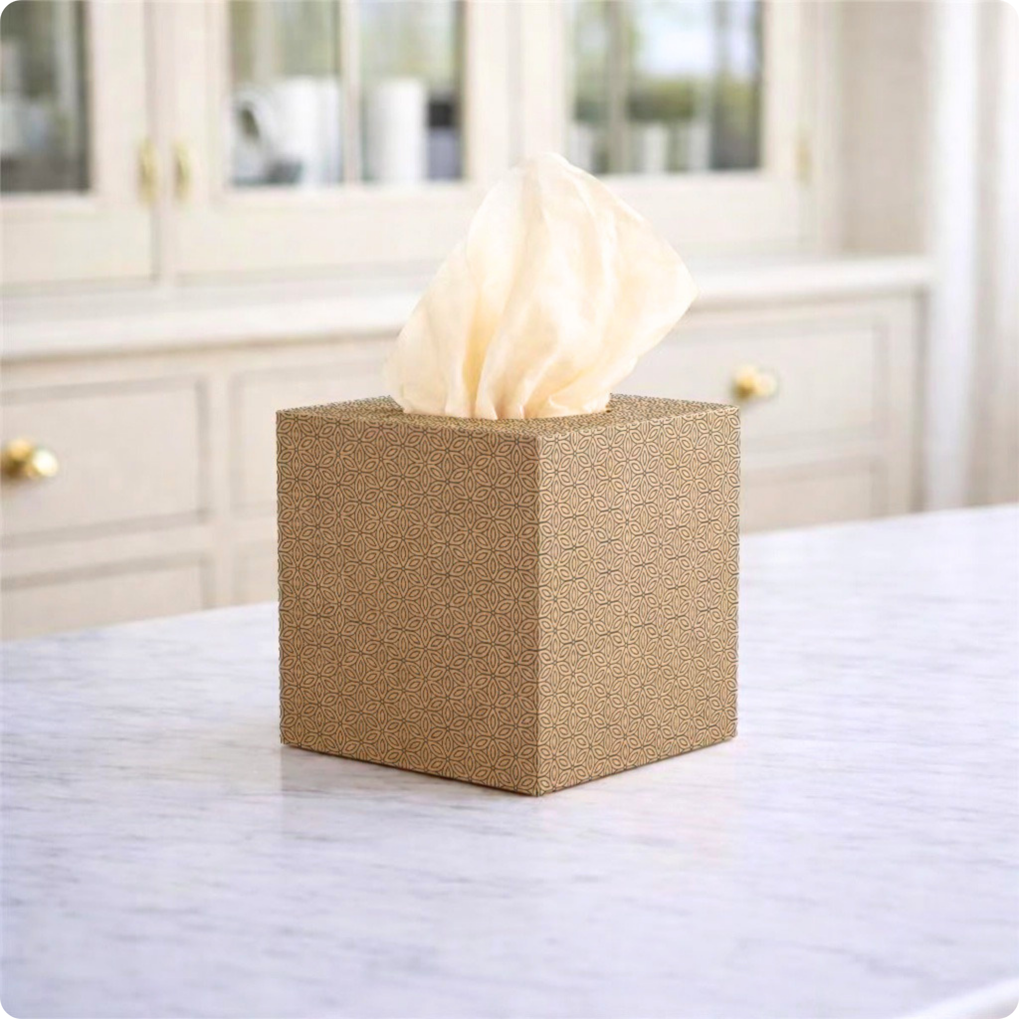 Facial tissues in kitchen