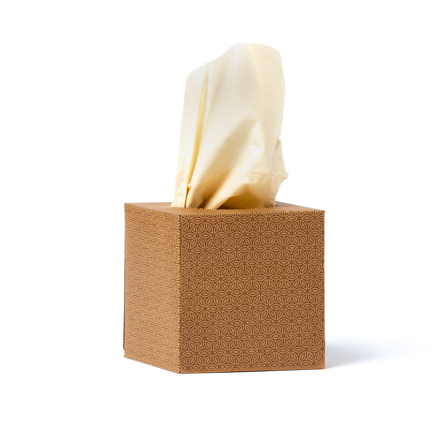 Unwhitened bamboo facial tissues