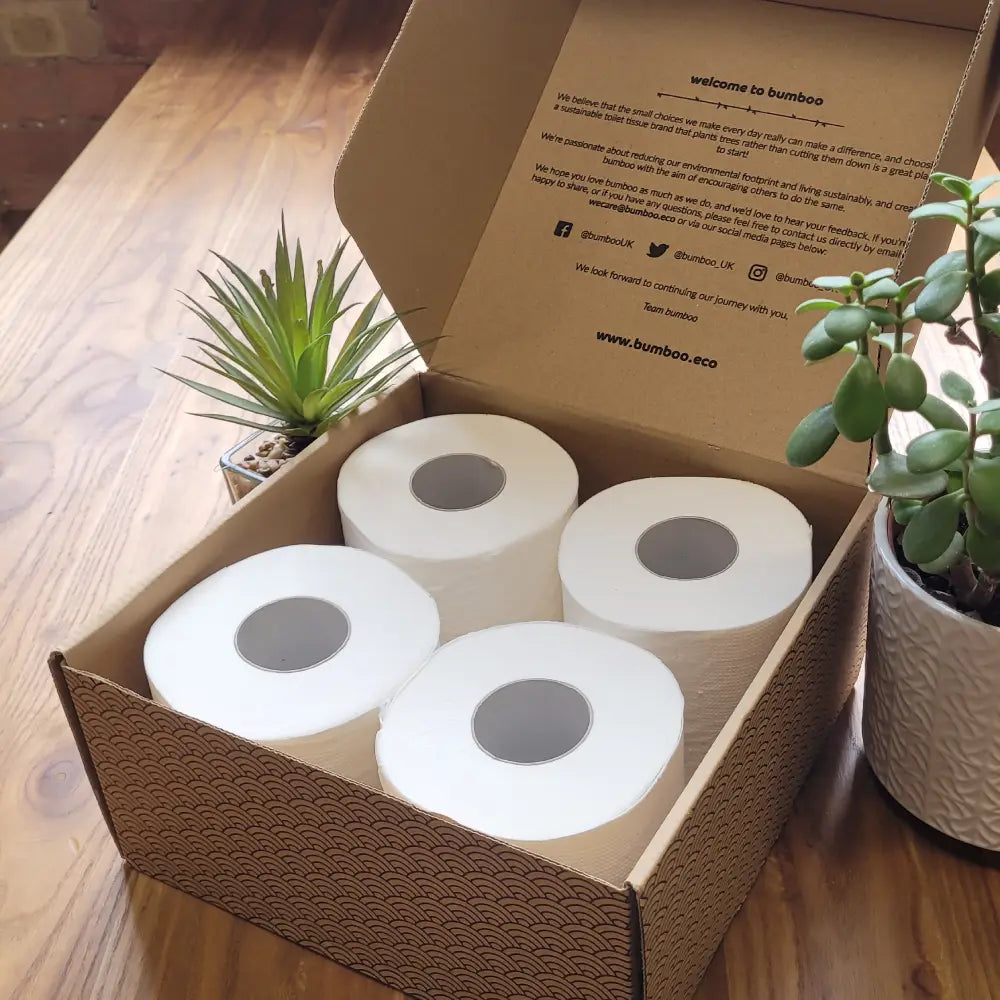 Bumboo Unwrapped Free Trial Subscription (4 pack followed by 48 pack subscription)